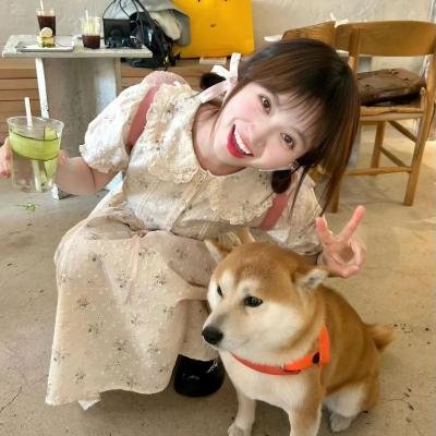上海狂想曲